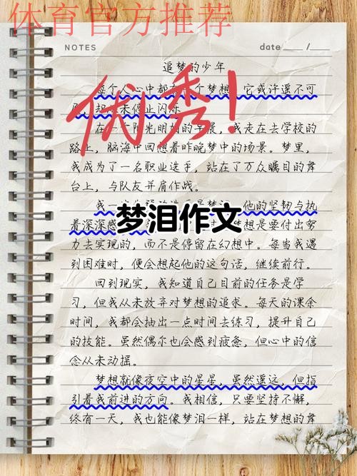 回望|中国之队的2017 梦里依稀有泪光 梦想不止在路上 回望|中国之队的2017 梦里依稀有泪光 梦想不止在路上